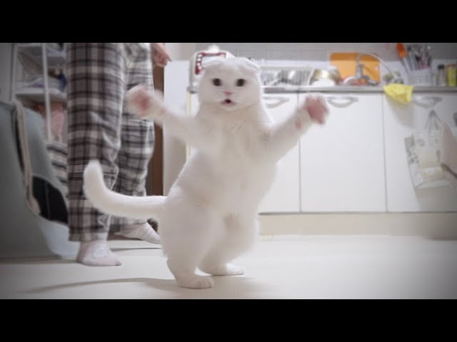 누가 우리 무지 앉아만 있다고 했나요?
